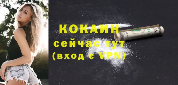 прущий лед Богородицк