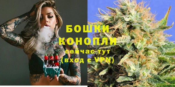 прущий лед Богородицк