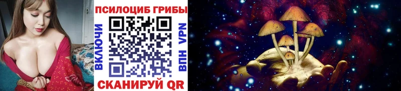 Галлюциногенные грибы Psilocybe  купить наркоту  Фёдоровский 